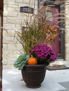 a potted plant with purple flowers and orange pumpkins in front of a house