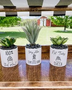 three potted succulents sitting on top of a wooden table