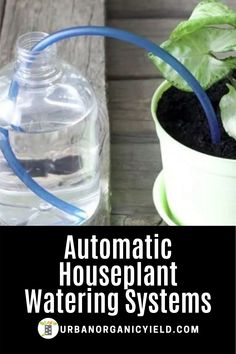 an automatic houseplant watering system is shown with a water bottle next to it