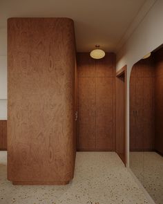 an empty room with wood paneling and white carpeted floor, in front of a mirror