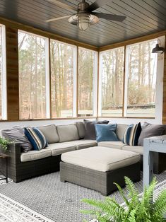 a living room filled with furniture and lots of windows next to a plant on top of a rug