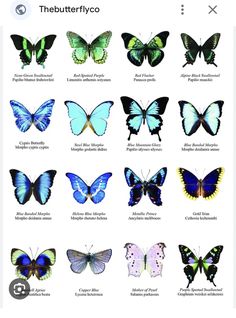 an iphone screen showing the different types of butterflies in each species, and their names