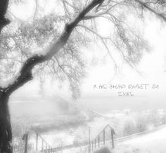 a black and white photo of snow covered trees with the words, he bao bay park