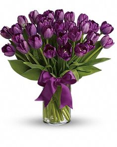 purple tulips in a glass vase with a bow