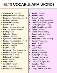 two different types of words that are in the same language, one is for each word