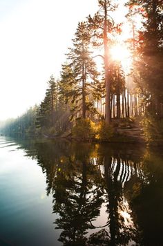 the sun shines brightly through the trees on the water