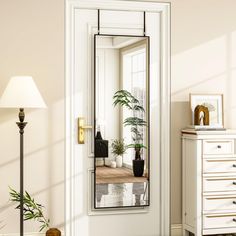 a mirror reflecting a room with a potted plant on the floor next to it