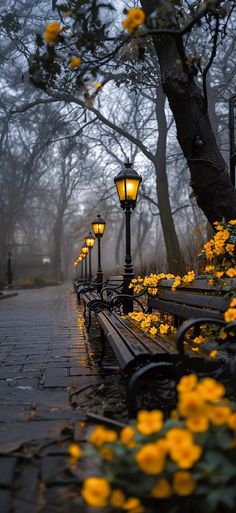 a row of park benches sitting next to yellow flowers