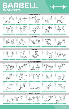 the barbell workout chart shows how to use it