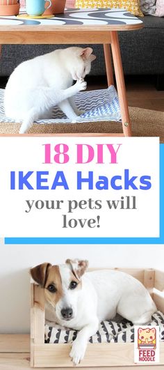 Great Ikea hacks to make your home more pet friendly. Easy DIY ideas to do that are affordable and loved by cats and dogs.  #ikeahacks #diyideas #diyhacks #cats #dogs #homedecor Ikea Bedroom Storage, Ikea Play Kitchen, Ikea Shoe, Easy Diy Ideas, Easy Ikea Hack, Cat Trees, Diy Ikea Hacks, Diy Play Kitchen