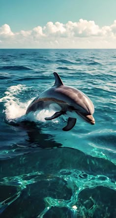 a dolphin jumping out of the water with it's head above the water surface