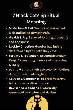 What Does a Black Cat Symbolize in Spiritual Terms? - 444 Spiritual Meaning Black Cat Omen Meaning, Spiritual Terms, Black Cat Meaning, Felicia Hardy, Early Middle Ages, Nocturnal Animals, A Black Cat