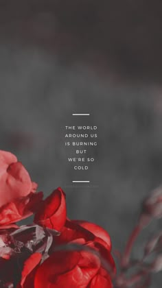 red flowers with a quote about the world around us