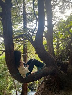 a woman sitting on top of a tree next to a river