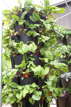 a tall planter filled with lots of green plants