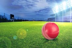 a red ball sitting on top of a lush green field