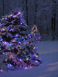 a lit up christmas tree in the snow