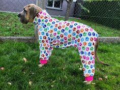 a dog wearing pajamas standing on top of a lush green field next to a fence