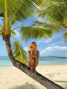 a woman sitting on top of a palm tree next to the ocean with an orange frisbee in her hand