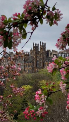 an old building with pink flowers in the foreground and trees on the other side