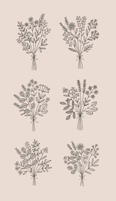 four different types of flowers in black and white on a beige background, each with leaves