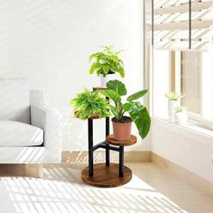 two potted plants are sitting on a small table in front of a white couch