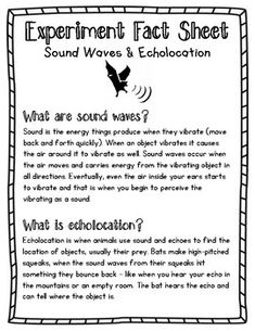 the experiment fact sheet for sound waves and echolocations is shown in black and white