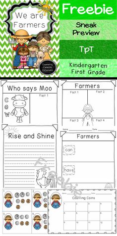 the freebie printable worksheet for students to practice their writing skills