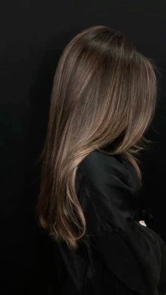 Subtle blonde highlights Honey Balayage Brown Hair, Honey Brown Hair On Black Hair, Long Balayage Hair Brunette, Hair 2024 Fall, Brunette Hair Straight, Haircolor 2024 Women, Hair Balayage Black, Autumn Hair Colors For Brunettes, Rich Brunette Balayage