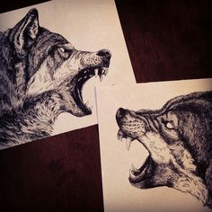 two drawings of wolfs with their mouths open