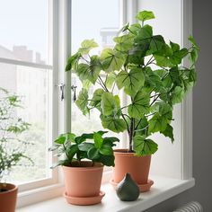 two potted plants sit on a window sill next to each other in front of the windowsill