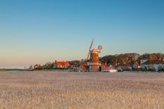 a windmill in the middle of a wheat field with houses and buildings behind it on a sunny day