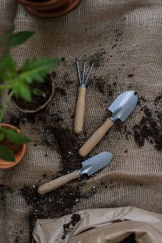 gardening utensils are laying on top of the soil