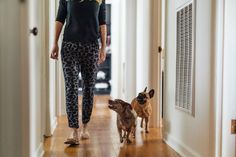 a woman is walking down the hallway with two dogs in front of her and another dog on the other side