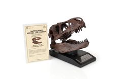 the dinosaur skeleton is next to an award plaque