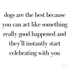 a quote that says dogs are the best because you can act like something really good happened and they'll instantly start celebrating with you