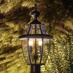 a lamp post with two lights on it in front of some trees and bushes at night