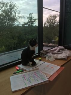 a black and white cat sitting on top of a desk next to a large window