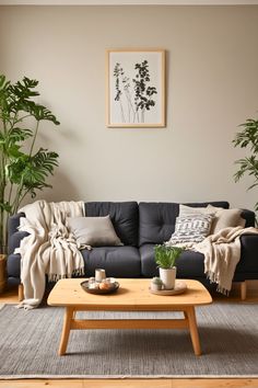 a living room with two couches, coffee table and potted plants in the corner