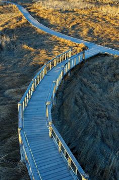 a wooden walkway in the middle of an open field