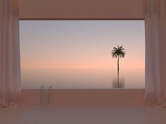 a palm tree sitting in the middle of an empty room with curtains on either side