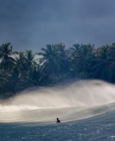 a person riding a surfboard on a wave in front of some palm tree's