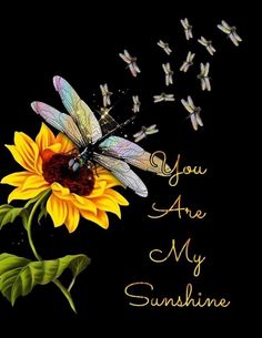 a sunflower with a dragonfly sitting on it's back and the words you are