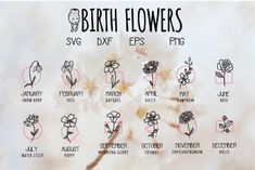 the birth flowers are shown in black and white, with pink lettering on it's side