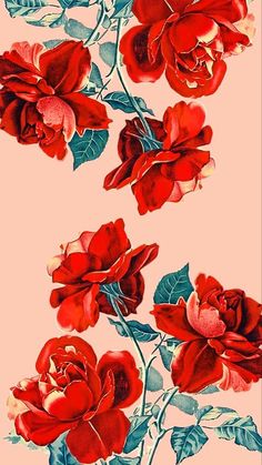 two red roses on a pink background with leaves and flowers in the middle one has green stems