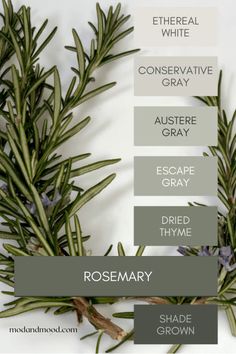 the different shades of rosemary are used in this recipe