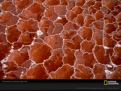 a close up view of some red marble