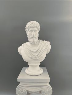 a white marble busturine with a beard and curly hair