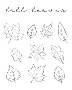 some leaves are drawn in the shape of different shapes