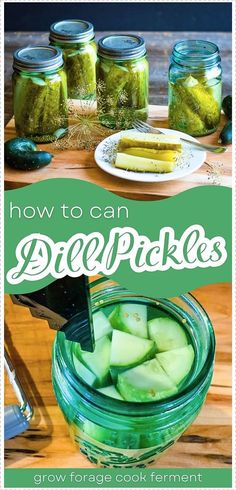 how to can pickle pickles in jars